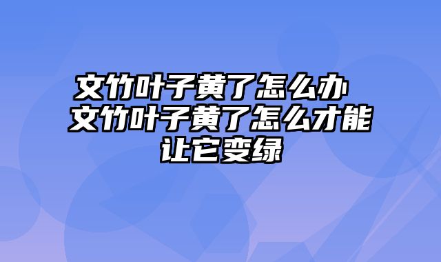 文竹叶子黄了怎么办 文竹叶子黄了怎么才能让它变绿