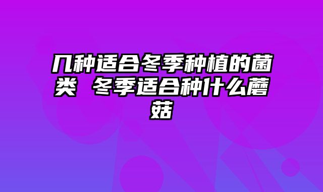 几种适合冬季种植的菌类 冬季适合种什么蘑菇