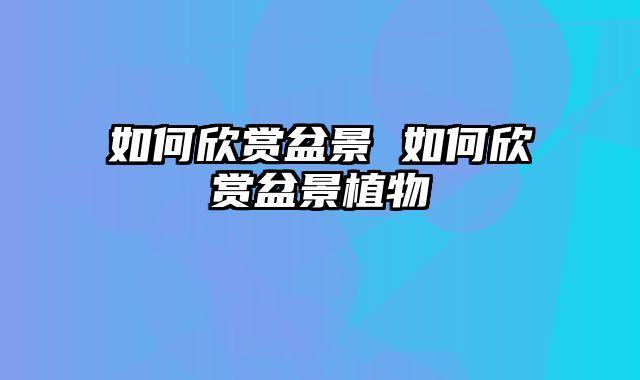 如何欣赏盆景 如何欣赏盆景植物