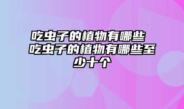 吃虫子的植物有哪些 吃虫子的植物有哪些至少十个
