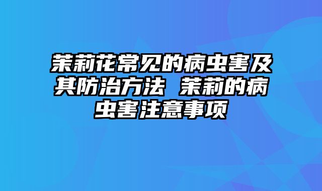 茉莉花常见的病虫害及其防治方法 茉莉的病虫害注意事项