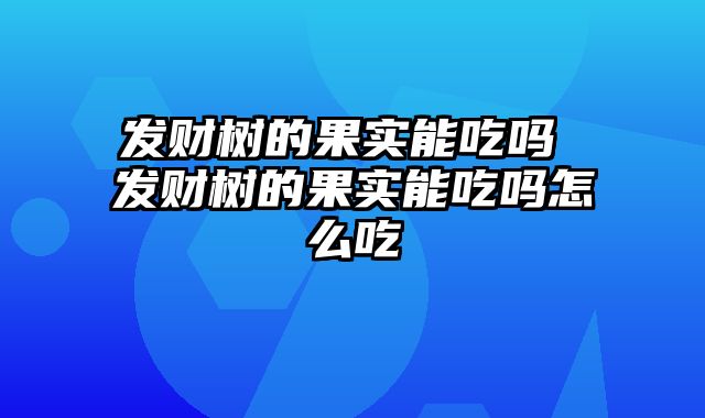 发财树的果实能吃吗 发财树的果实能吃吗怎么吃