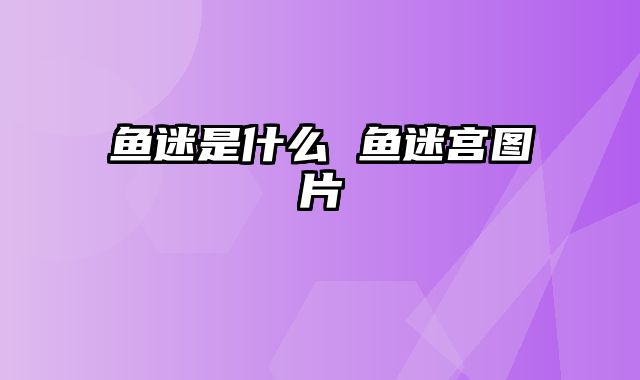 鱼迷是什么 鱼迷宫图片