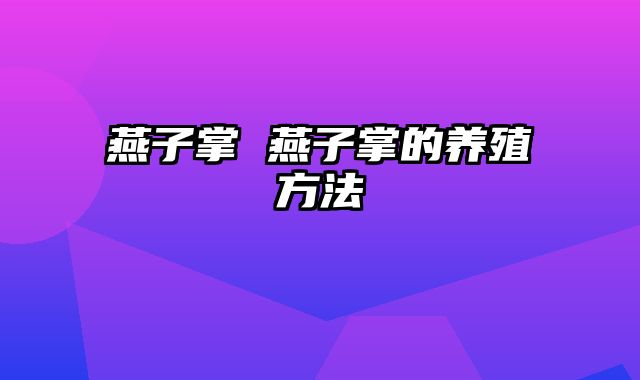 燕子掌 燕子掌的养殖方法