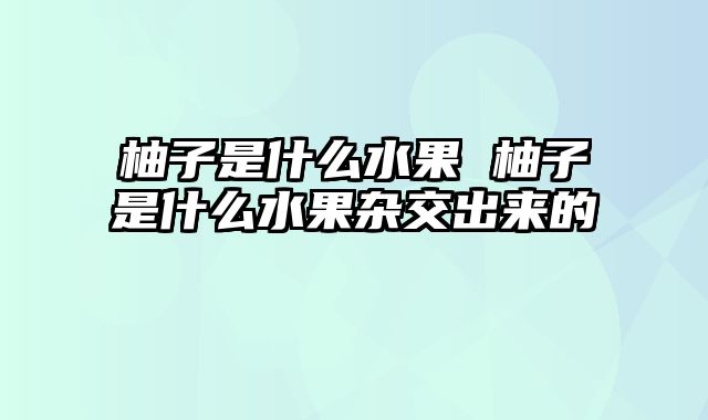 柚子是什么水果 柚子是什么水果杂交出来的