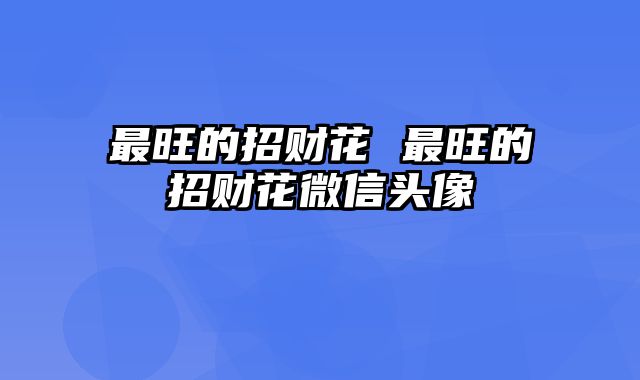 最旺的招财花 最旺的招财花微信头像