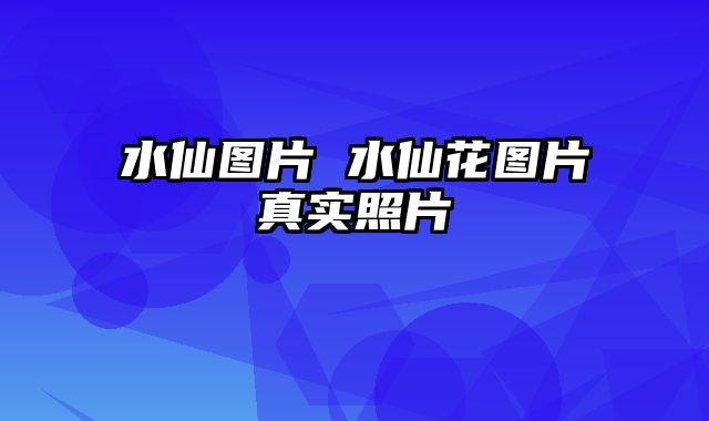 水仙图片 水仙花图片真实照片