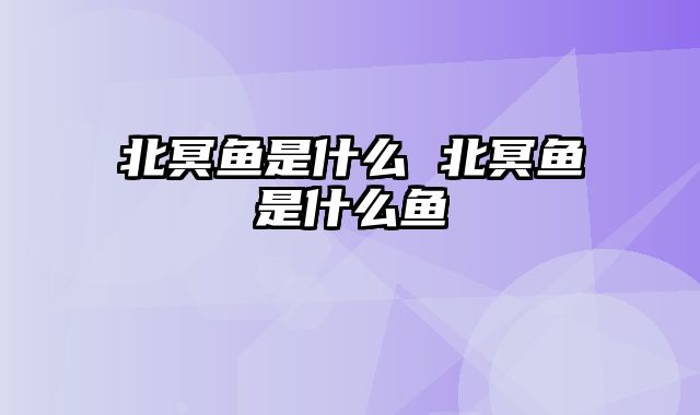 北冥鱼是什么 北冥鱼是什么鱼