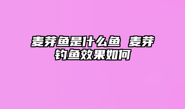 麦芽鱼是什么鱼 麦芽钓鱼效果如何