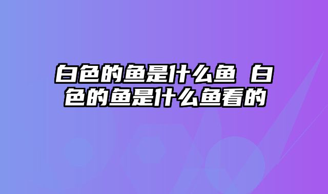 白色的鱼是什么鱼 白色的鱼是什么鱼看的