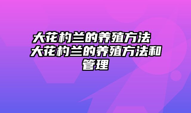 大花杓兰的养殖方法 大花杓兰的养殖方法和管理