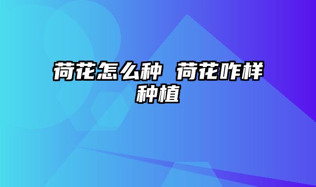 荷花怎么种 荷花咋样种植
