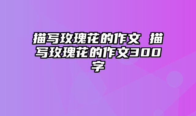 描写玫瑰花的作文 描写玫瑰花的作文300字