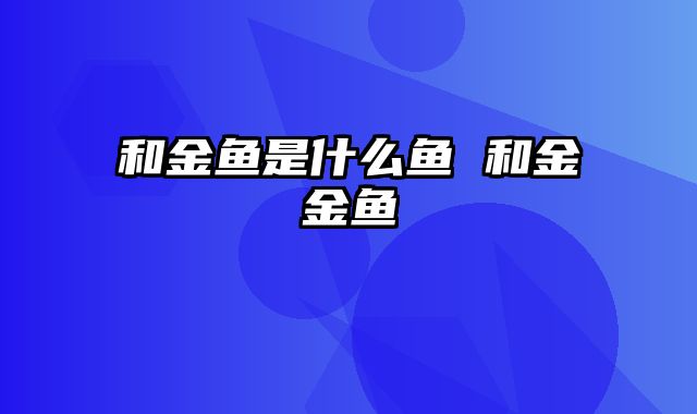 和金鱼是什么鱼 和金金鱼