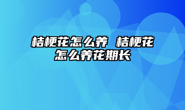 桔梗花怎么养 桔梗花怎么养花期长