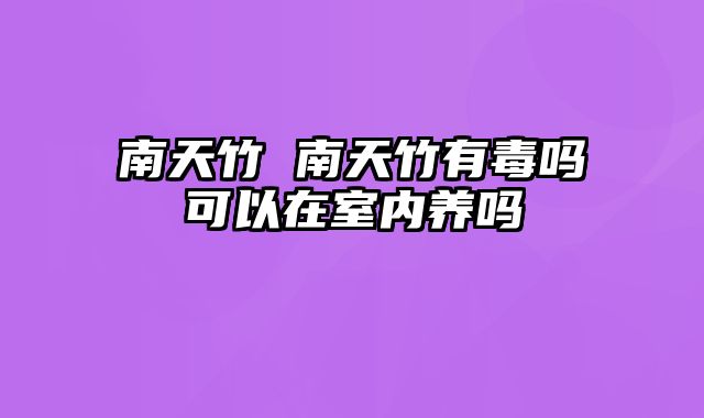 南天竹 南天竹有毒吗可以在室内养吗