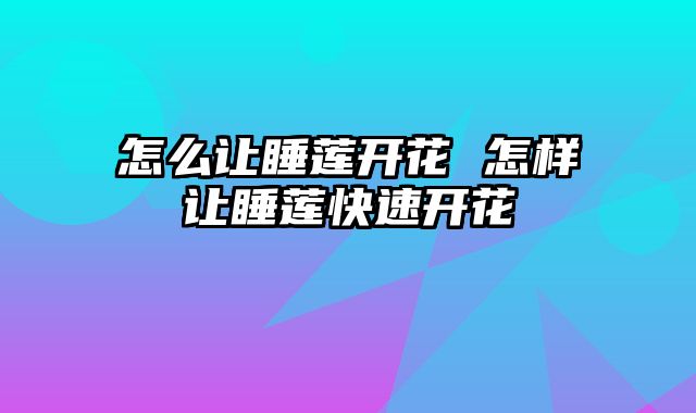 怎么让睡莲开花 怎样让睡莲快速开花