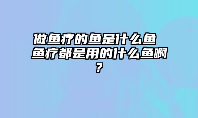 做鱼疗的鱼是什么鱼 鱼疗都是用的什么鱼啊?