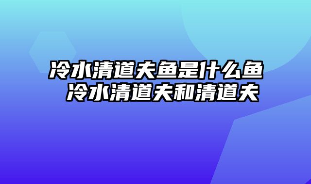 冷水清道夫鱼是什么鱼 冷水清道夫和清道夫