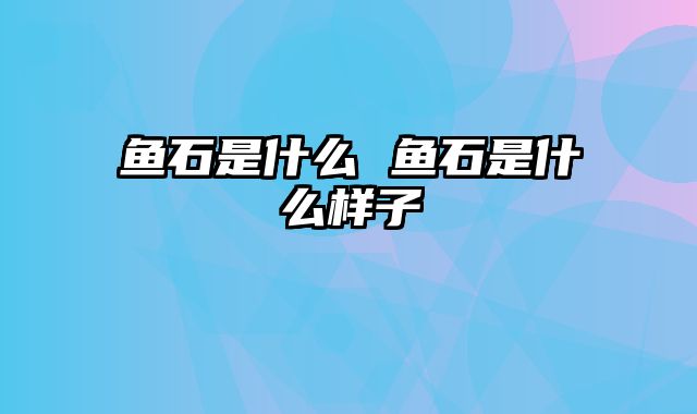 鱼石是什么 鱼石是什么样子