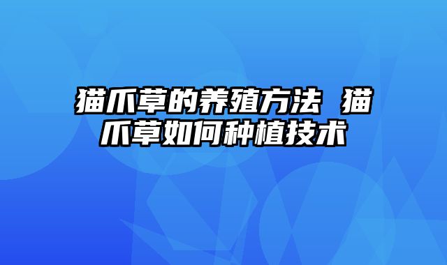 猫爪草的养殖方法 猫爪草如何种植技术