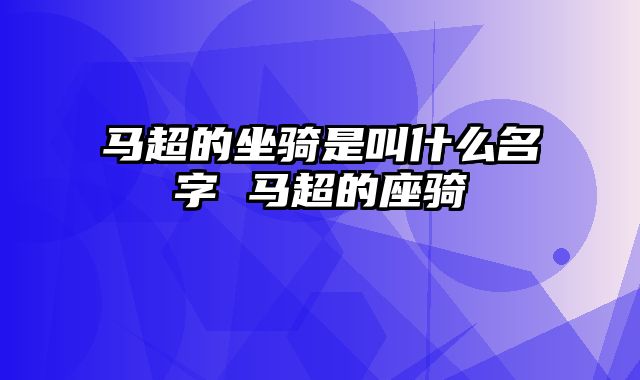 马超的坐骑是叫什么名字 马超的座骑