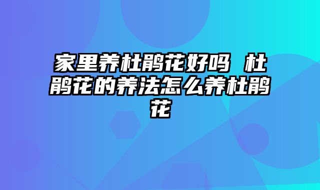家里养杜鹃花好吗 杜鹃花的养法怎么养杜鹃花