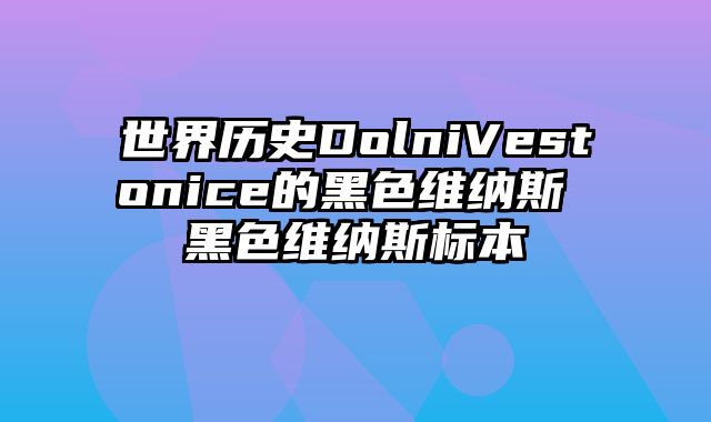 世界历史DolniVestonice的黑色维纳斯 黑色维纳斯标本