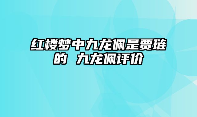 红楼梦中九龙佩是贾琏的 九龙佩评价