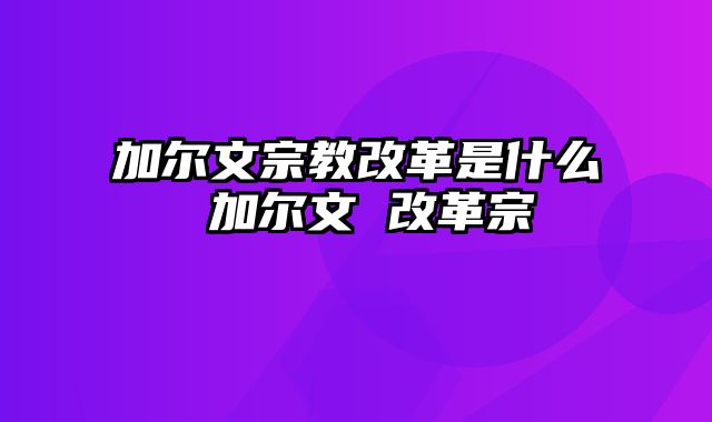 加尔文宗教改革是什么 加尔文 改革宗