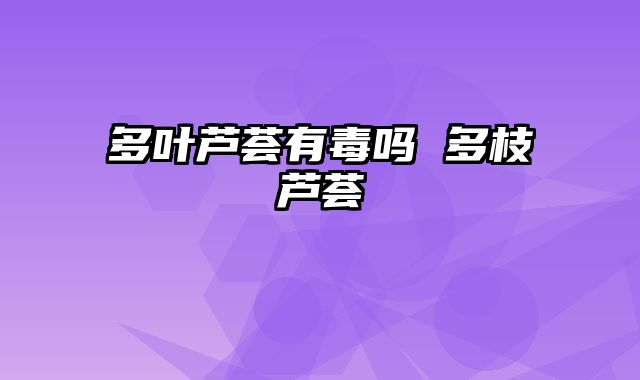 多叶芦荟有毒吗 多枝芦荟