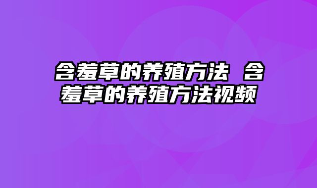 含羞草的养殖方法 含羞草的养殖方法视频