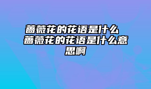 蔷薇花的花语是什么 蔷薇花的花语是什么意思啊