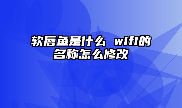 软唇鱼是什么 wifi的名称怎么修改
