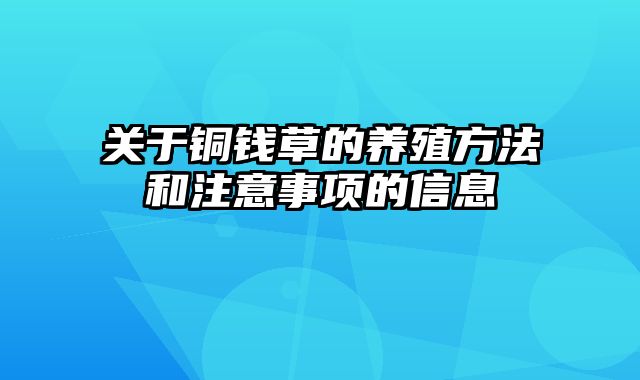 关于铜钱草的养殖方法和注意事项的信息