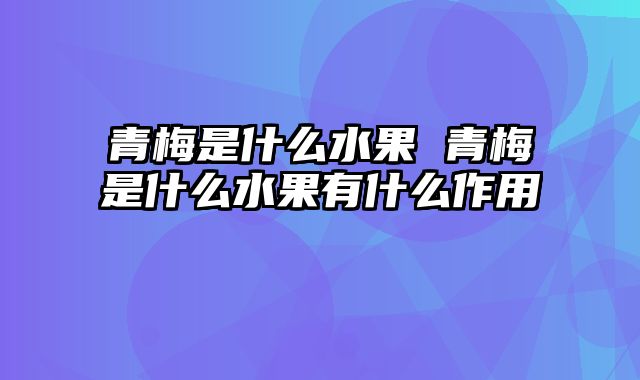 青梅是什么水果 青梅是什么水果有什么作用