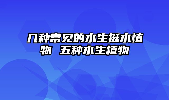 几种常见的水生挺水植物 五种水生植物