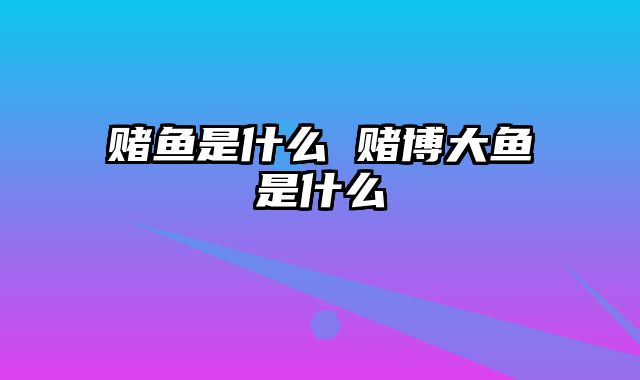 赌鱼是什么 赌博大鱼是什么