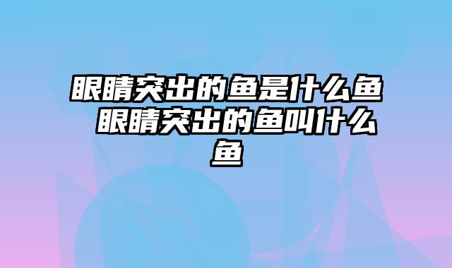 眼睛突出的鱼是什么鱼 眼睛突出的鱼叫什么鱼