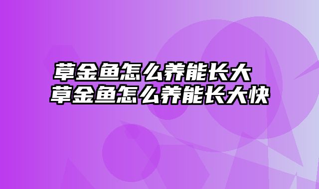 草金鱼怎么养能长大 草金鱼怎么养能长大快