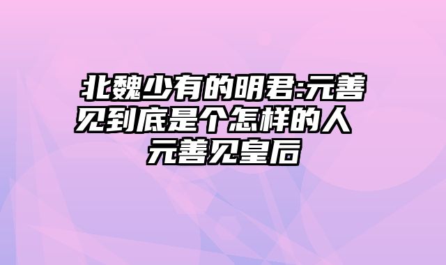 北魏少有的明君:元善见到底是个怎样的人 元善见皇后