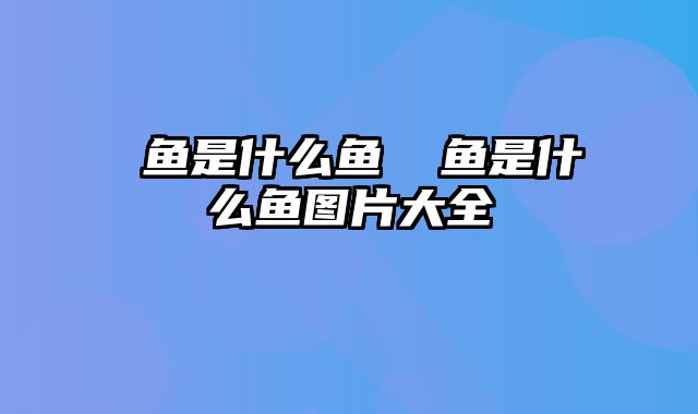 鳡鱼是什么鱼 鳡鱼是什么鱼图片大全