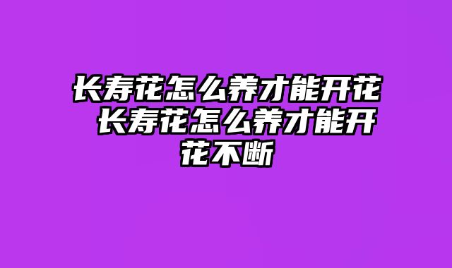 长寿花怎么养才能开花 长寿花怎么养才能开花不断