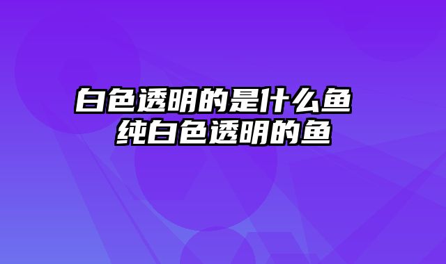 白色透明的是什么鱼 纯白色透明的鱼