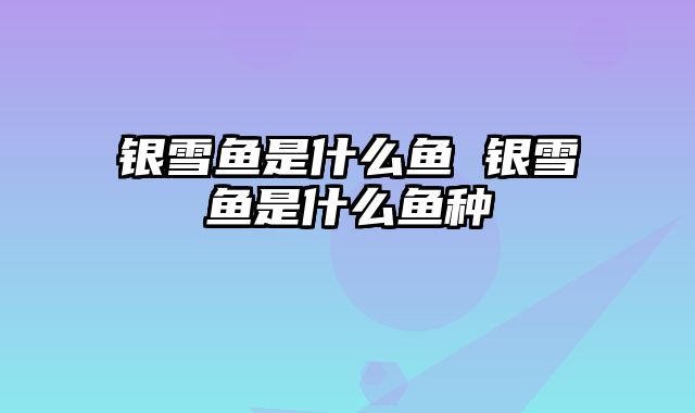 银雪鱼是什么鱼 银雪鱼是什么鱼种