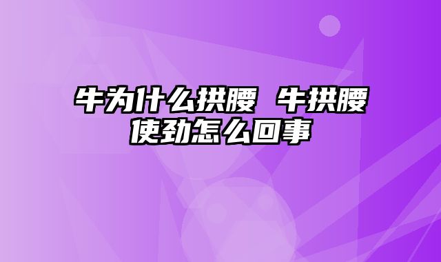 牛为什么拱腰 牛拱腰使劲怎么回事