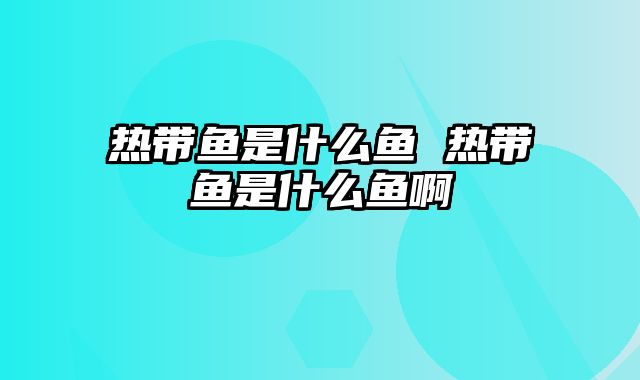 热带鱼是什么鱼 热带鱼是什么鱼啊
