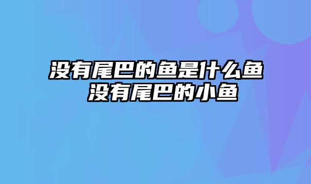 没有尾巴的鱼是什么鱼 没有尾巴的小鱼