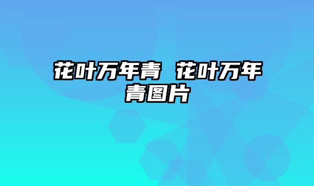 花叶万年青 花叶万年青图片