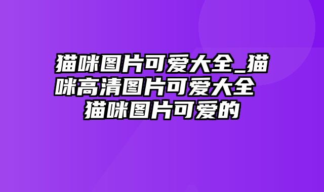 猫咪图片可爱大全_猫咪高清图片可爱大全 猫咪图片可爱的
